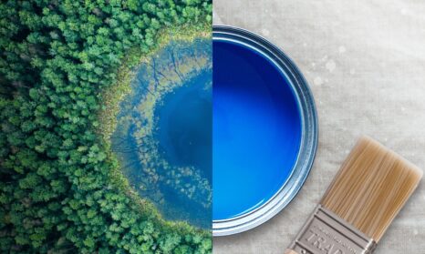 Sustainability Consultants Bioregional