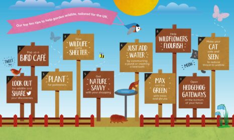 The Nature of Gardens_BandQ_Bioregional_2017_Top ten tips infographic