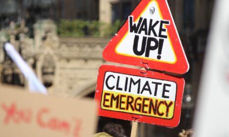 declare climate emergency what nextShutterstock 1509744410