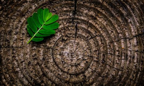 implement the circular economy