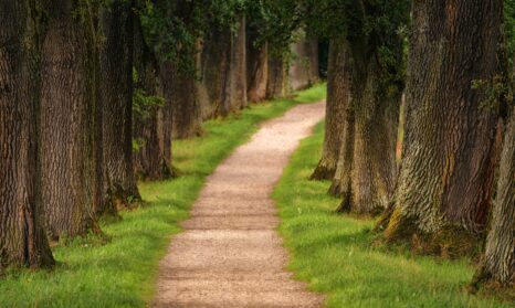 setting science-based targets