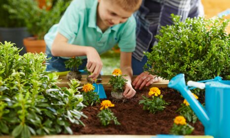 Sustainable Products And Services Easygrow Credit B Q