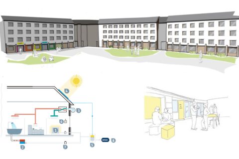 Adamson court web banner new