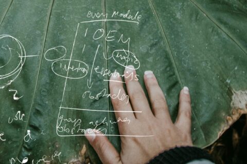 Sustainability strategy banner 3 leaf v2