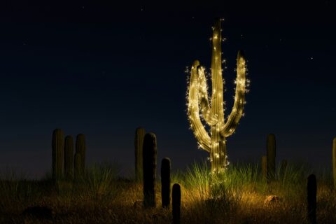 Science based targets SB Ti hero banner