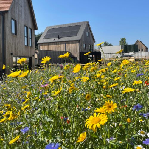 Springfield Meadows for OPL banner