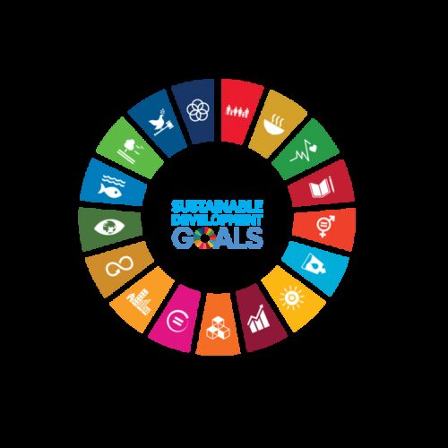 SDG logo