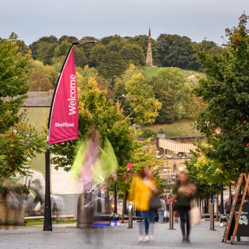 Sheffield sustainability consultants banner 2