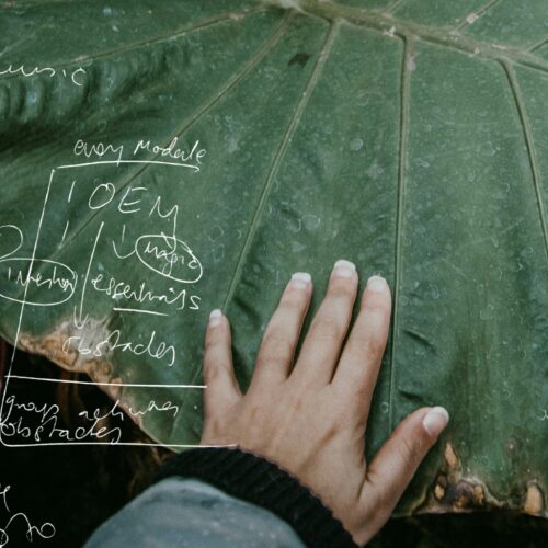 Sustainability strategy banner 3