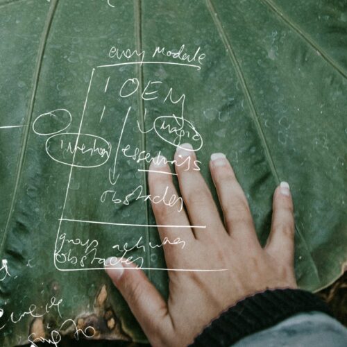 Sustainability strategy banner 3 leaf v2