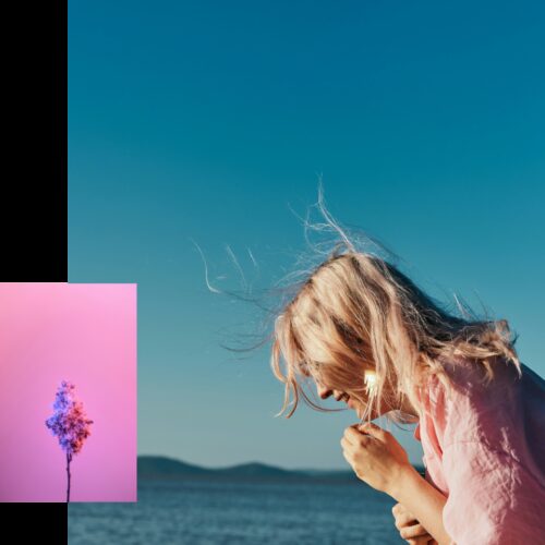 Contact us portrait pink decarbonisation 1