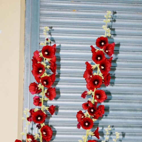 Resilience square banner