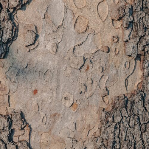 Sustainability reporting banner 3