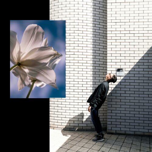 Costings block cookie cutter