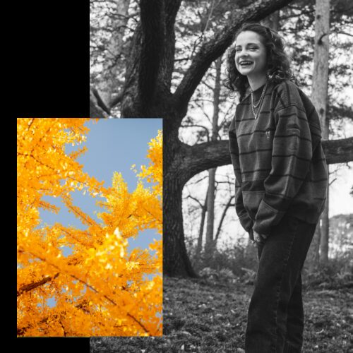 CSRD collage block 1