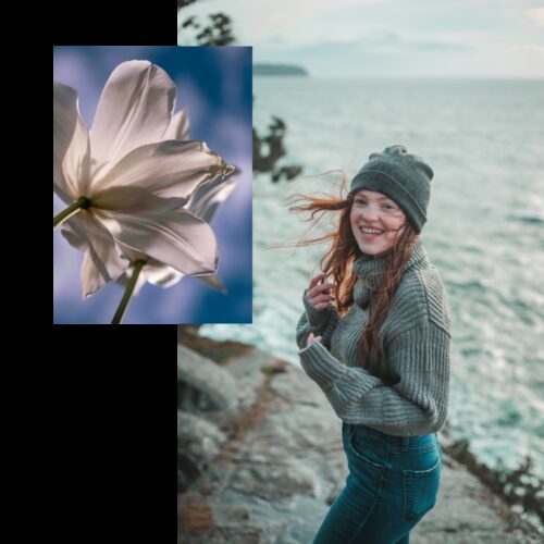 Costings block cookie cutter 3