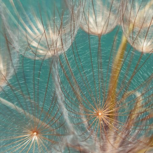 Sustainable materials square block