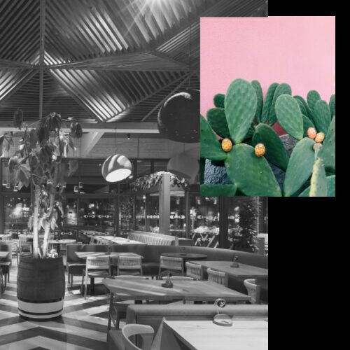 SKA assessments Nandos Cambridge bw