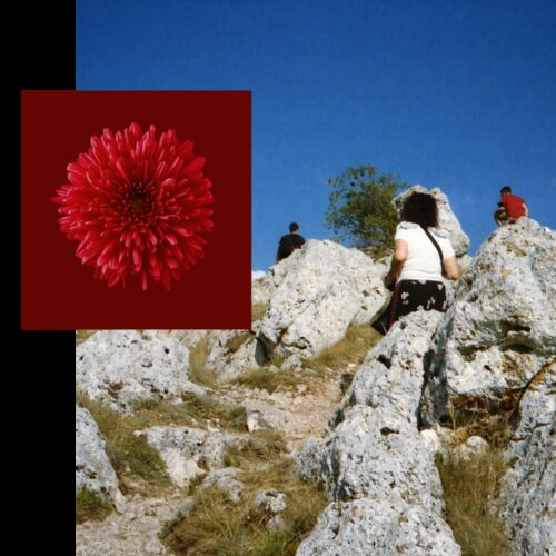 Training square block 1