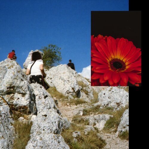 Training square block 1 2