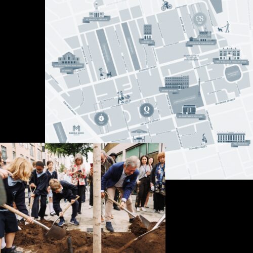 The Portman Estate map square tree planting