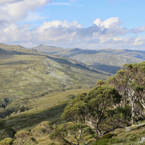 Goulburn Mulwaree OSGM