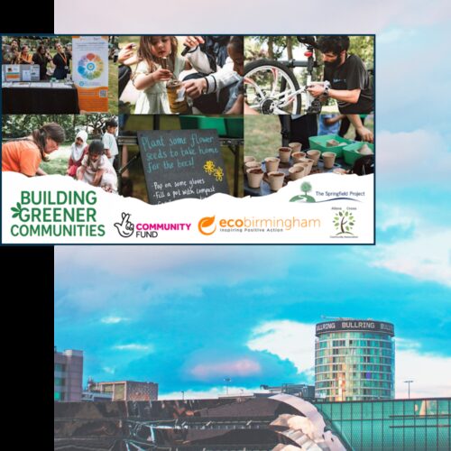 Square web images for image blocks 1000 x 1000 px