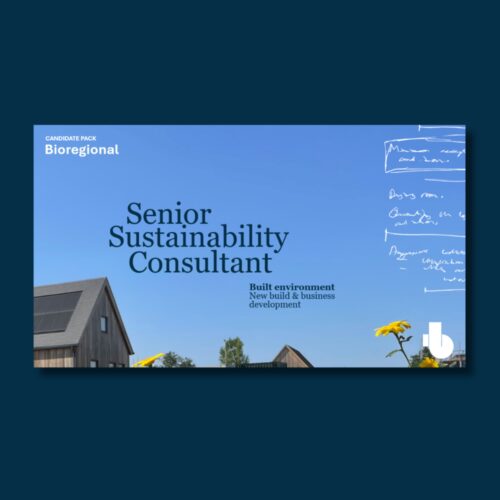 Candidate pack senior sustainability consultant Places