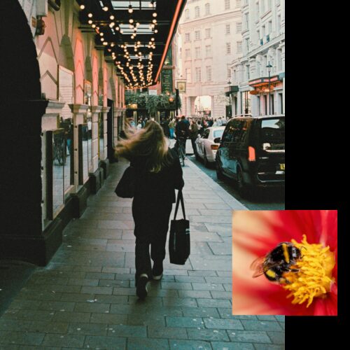 Square web images for image blocks 1000 x 1000 px 11