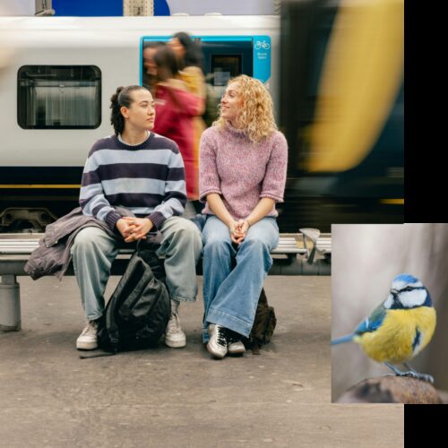 Square web images for image blocks 1000 x 1000 px 12