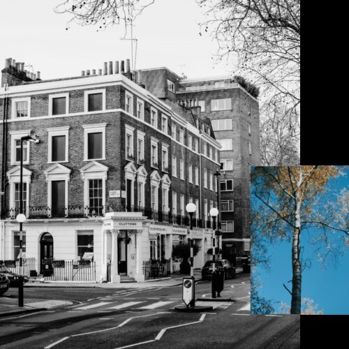 Square web images for image blocks 1000 x 1000 px 16