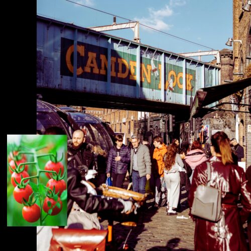 Square web images for image blocks 1000 x 1000 px 18