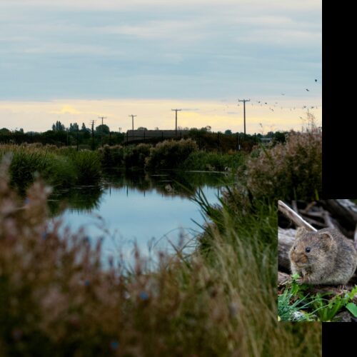 Square web images for image blocks 1000 x 1000 px 23