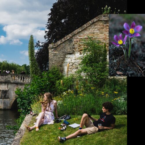 Square web images for image blocks 1000 x 1000 px 27