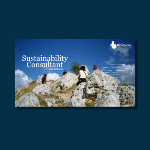 Candidate pack sustainability consultant mat leave cover