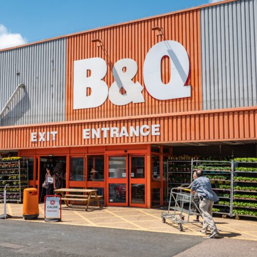 Bq Kingfisher Shutterstock