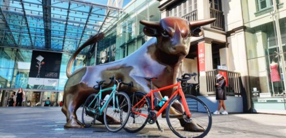 Birmingham bull with bikes