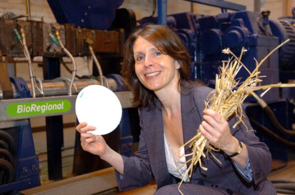 Minimills C Paul Heyes