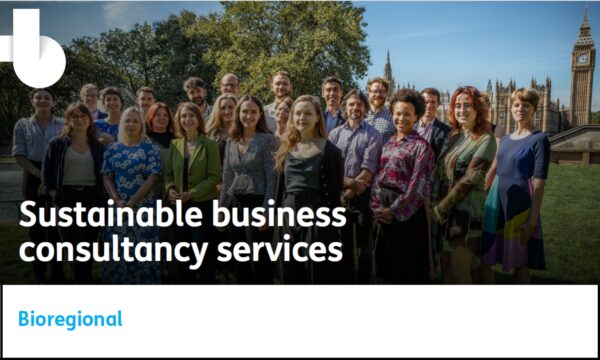 Sustainable business brochure thumbnail 2024