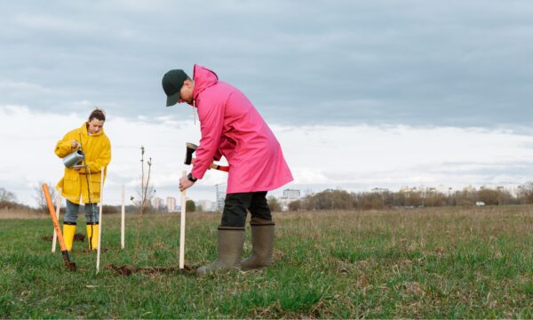 Carbon insetting vs offsetting