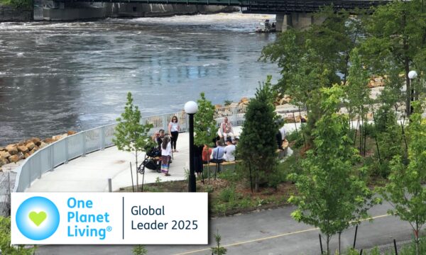 Zibi main banner 2025