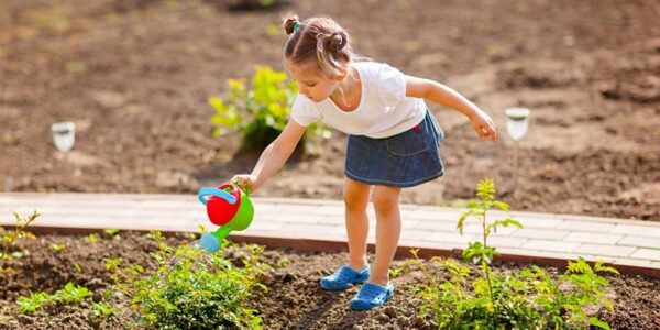 Https   Cdn Evbuc Com Images 104919258 175390000635 1 Original