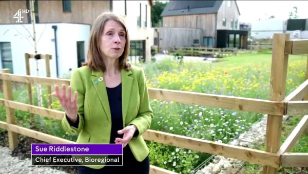 Sue Riddlestone Channel 4 web banner