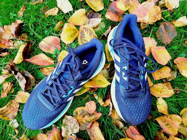 circular economy for consumers