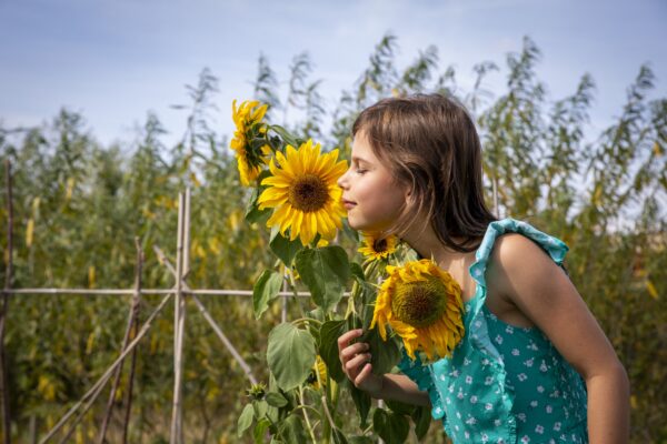 design-for-sustainable-living