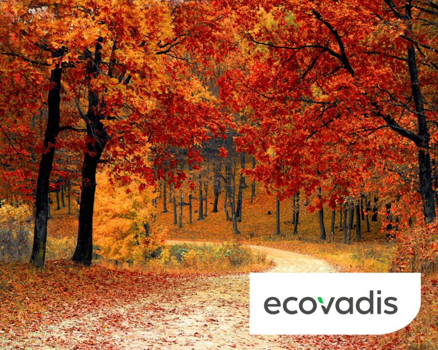 Eco Vadis consultancy support banner 2