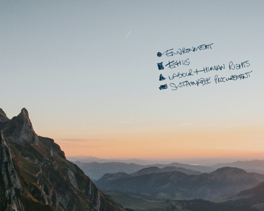 Ecovadis hero banner with text