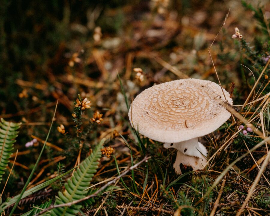 Circular economy hero banner no text