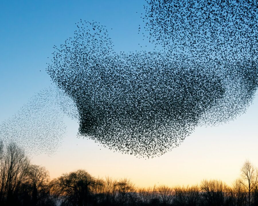 Sustainability training courses hero