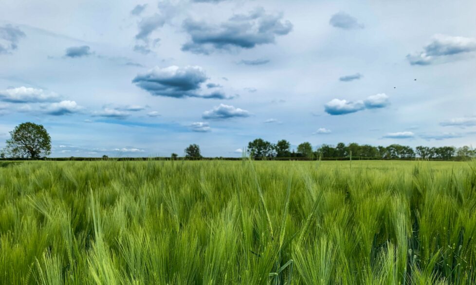 Pathways To A Zero Carbon Oxfordshire Qa With Sam Hampton